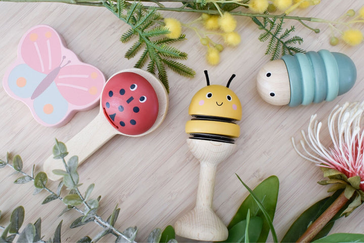 Wooden Spring Insect Music 4 Piece Set