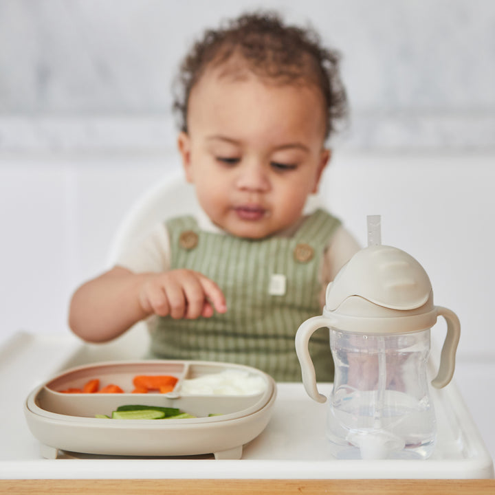 bbox 2 in 1 Suction Plate with Divider - Assorted