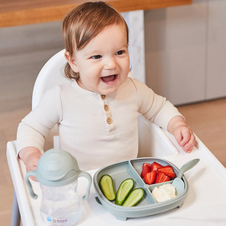 bbox 2 in 1 Suction Plate with Divider - Assorted