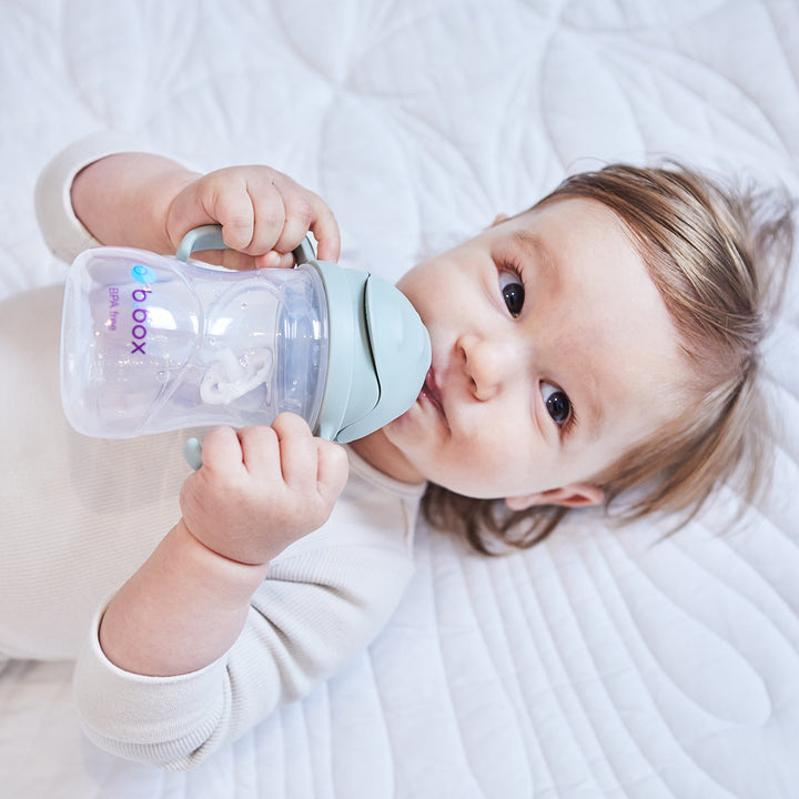 bbox Weighted Straw Sippy Cup 240ml - Assorted