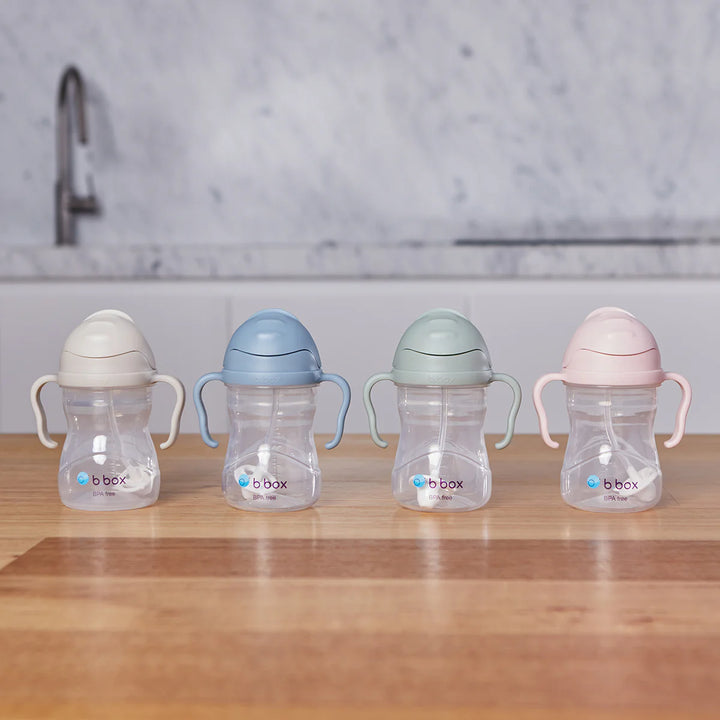 bbox Weighted Straw Sippy Cup 240ml - Assorted