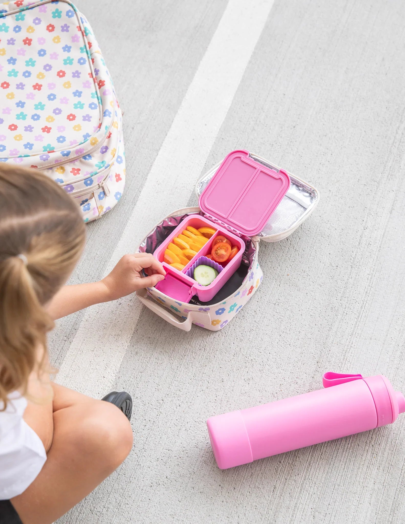 Lunch Boxes & Accessories