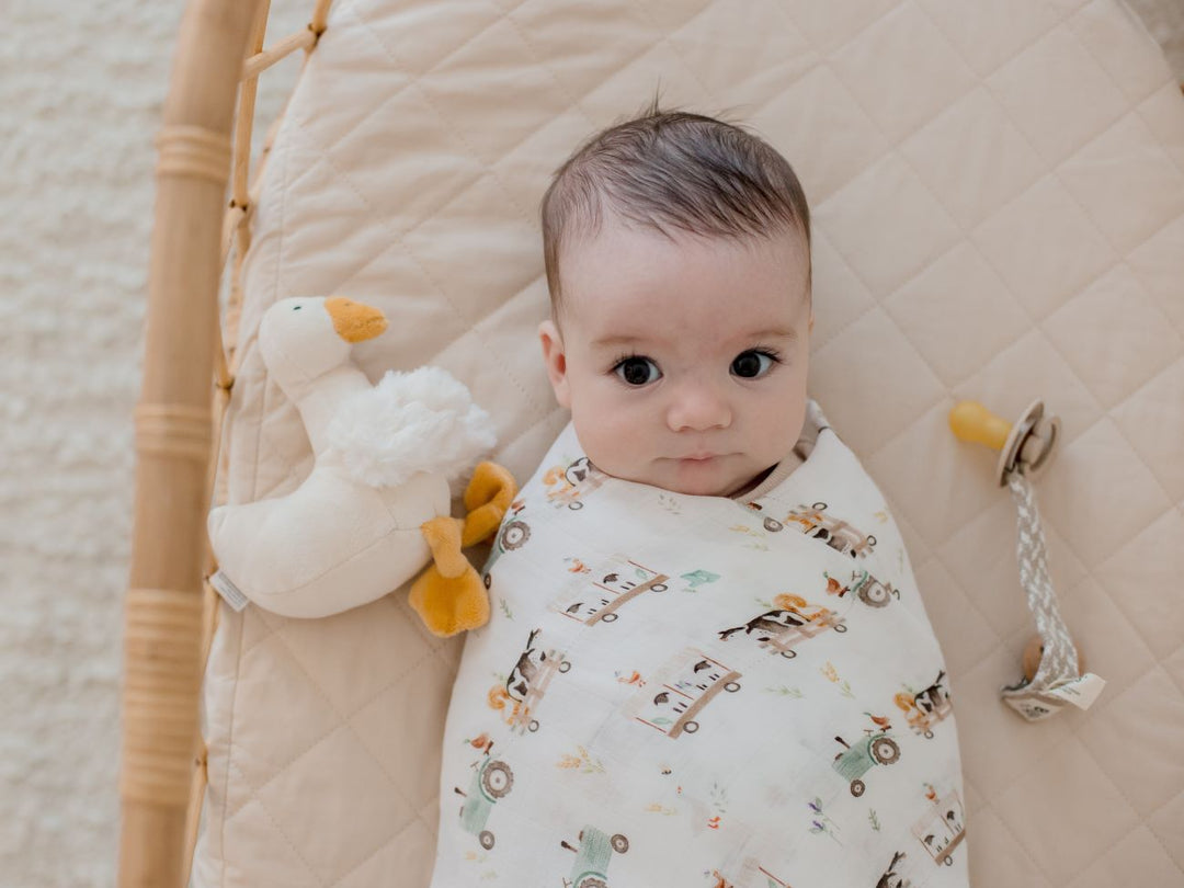 On the Farm | Baby