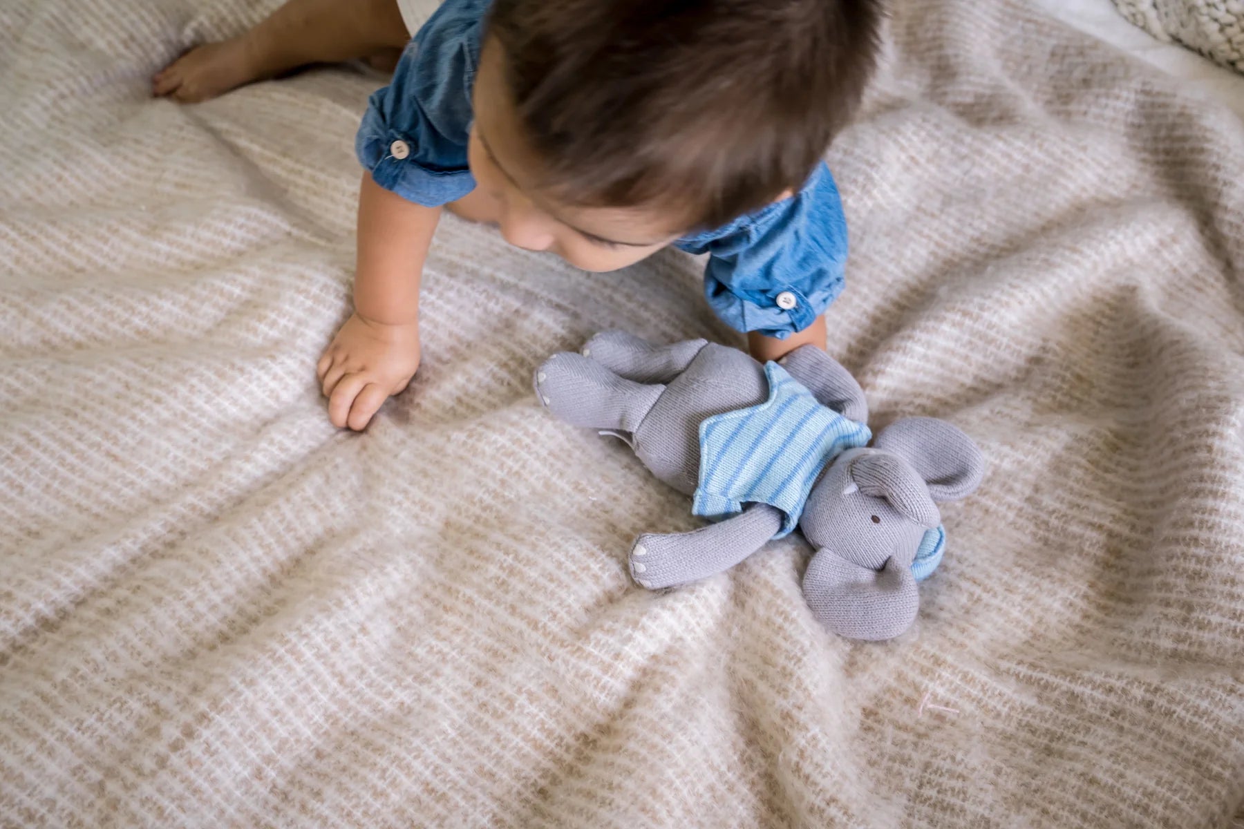 Toys & Books | Outlet