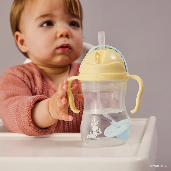 bbox Weighted Straw Sippy Cup 240ml - Looney Tunes