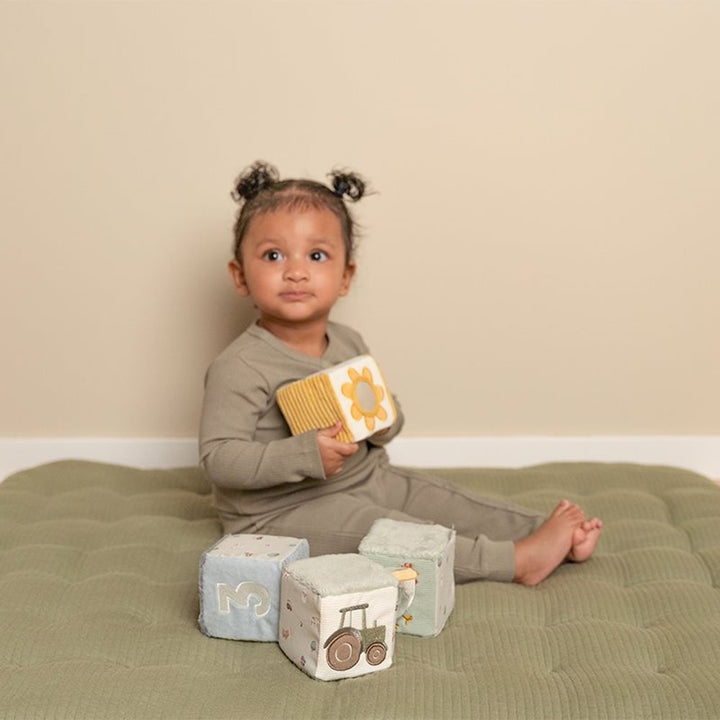 Little Farm Soft Play Blocks