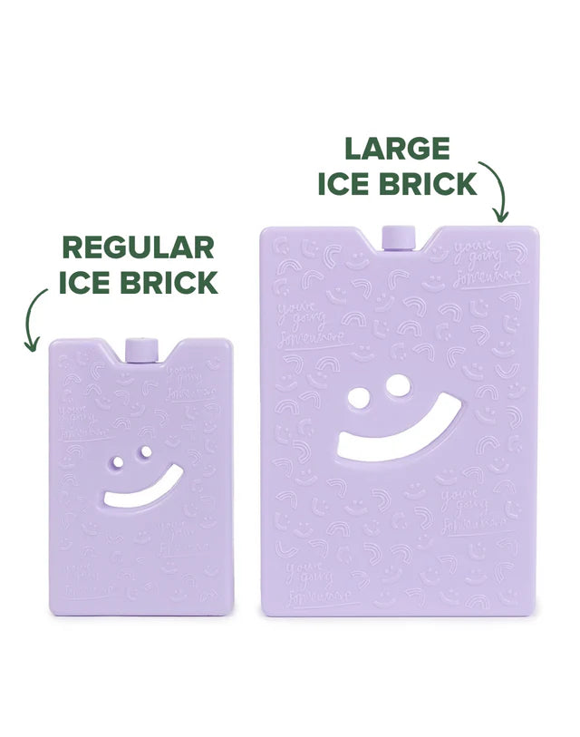 The Somewhere Co Ice Brick - Large