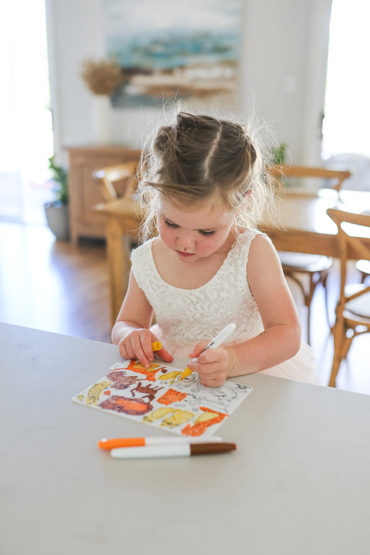 Reusable Mini Scribble Mat Set | Cats & Dogs