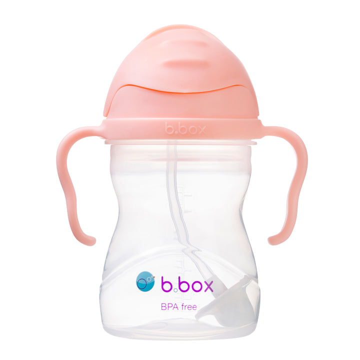 bbox Gelato Weighted Straw Sippy Cup 240ml - Assorted