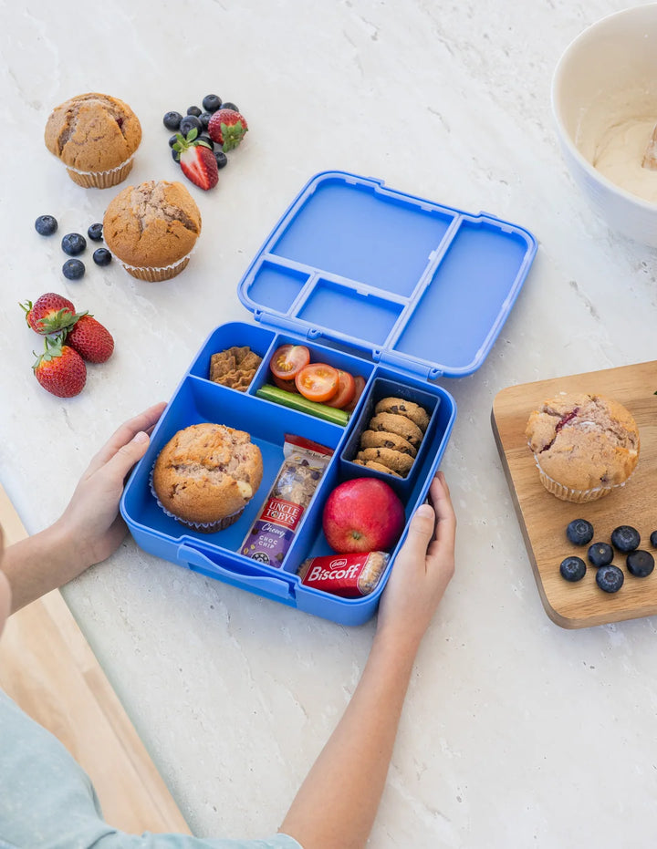 Montiico Feast Bento Lunch Box - Blueberry
