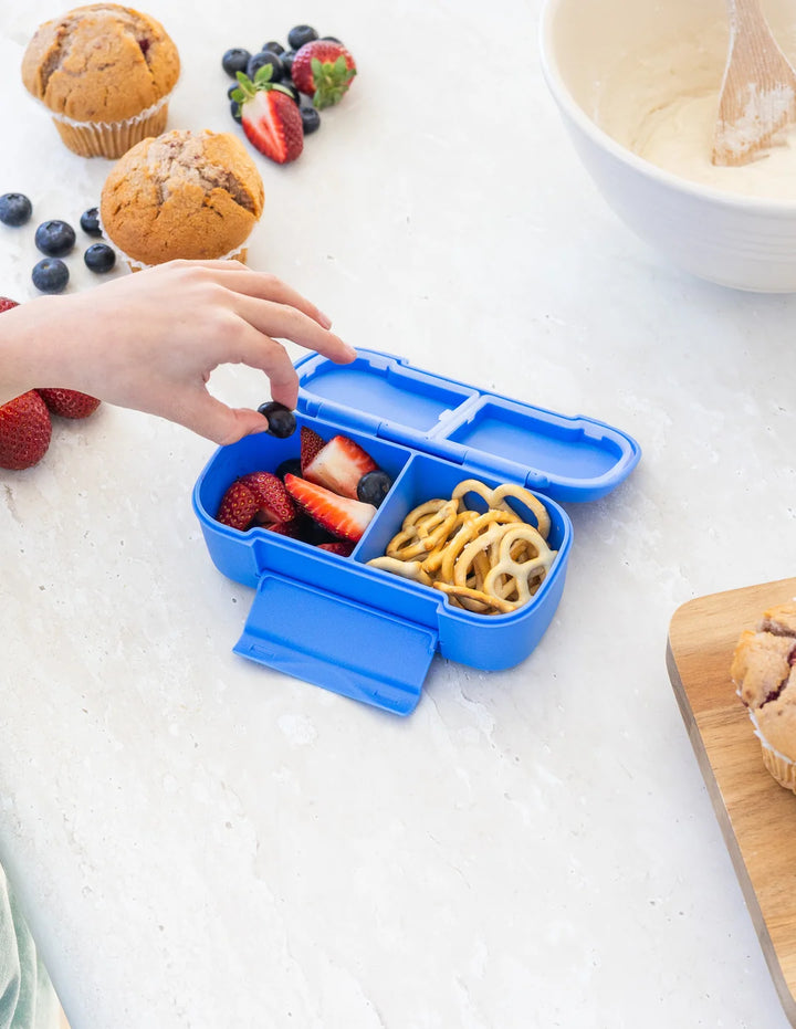 Montiico Bento Snack Lunch Box - Blueberry