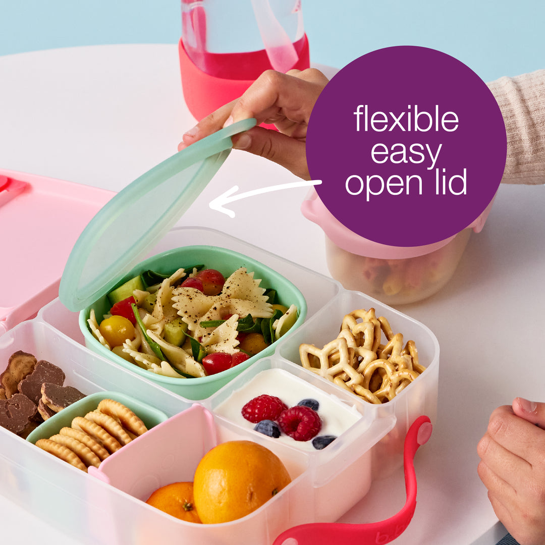 bbox Lunchbox Lunch Tubs - Assorted