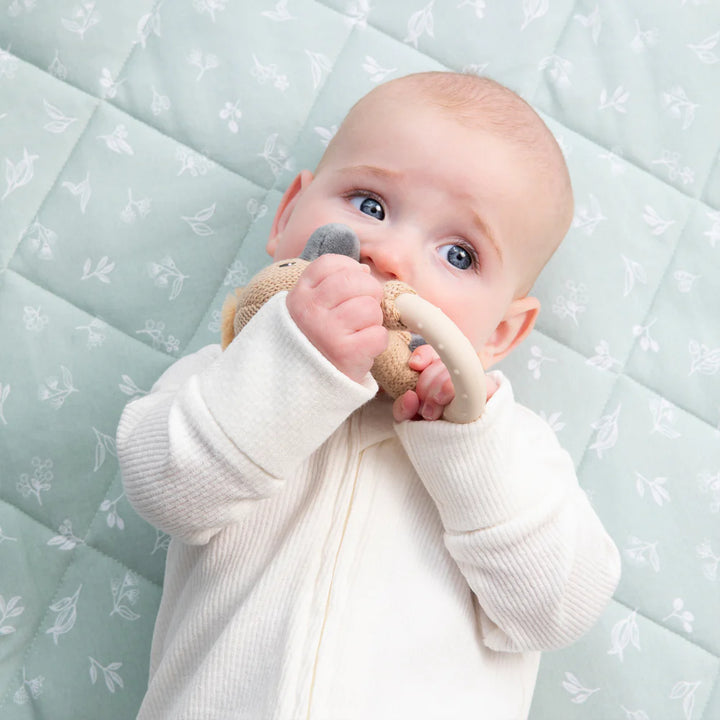 Cotton Knit Ring Rattle & Silicone Teether -  Platypus