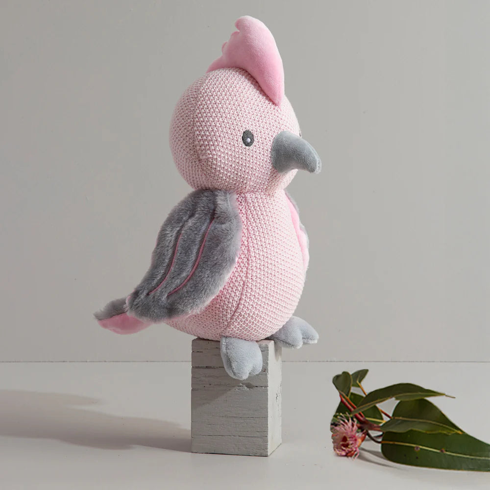 Cotton Knit Toy - Gary the Galah