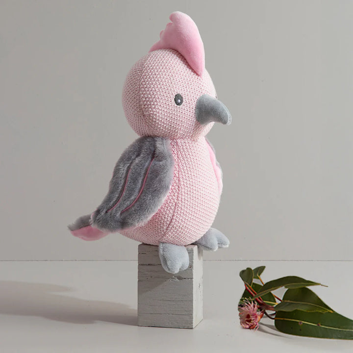 Cotton Knit Toy - Gary the Galah