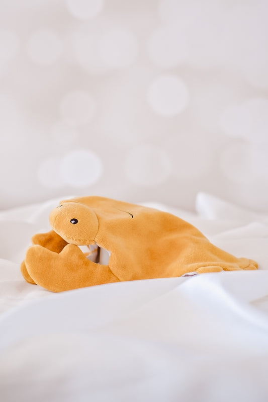 Tikiri Ocean Organic Comforter - Crab