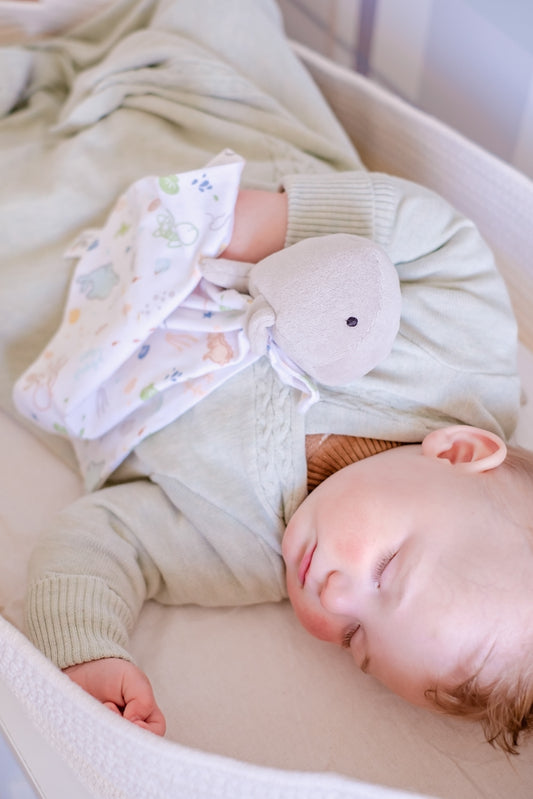Tikiri Ocean Organic Comforter - Whale