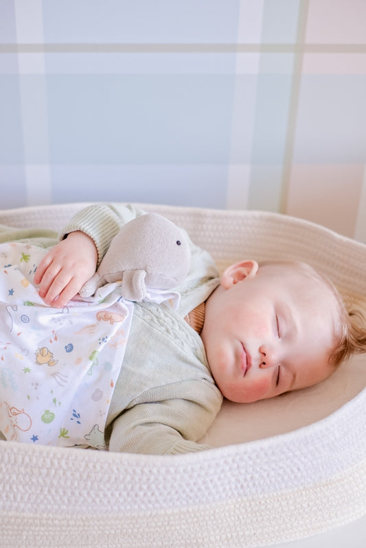 Tikiri Ocean Organic Comforter - Whale