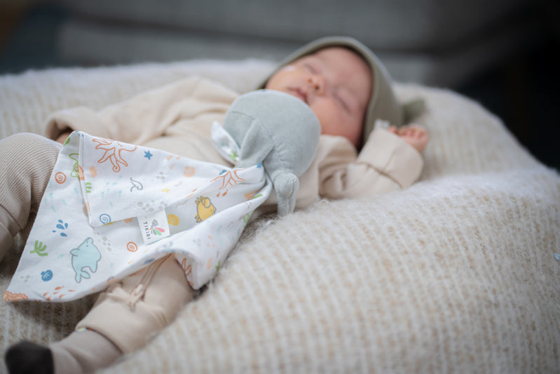 Tikiri Ocean Organic Comforter - Whale