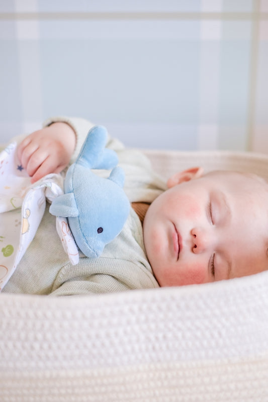 Tikiri Ocean Organic Comforter - Dolphin