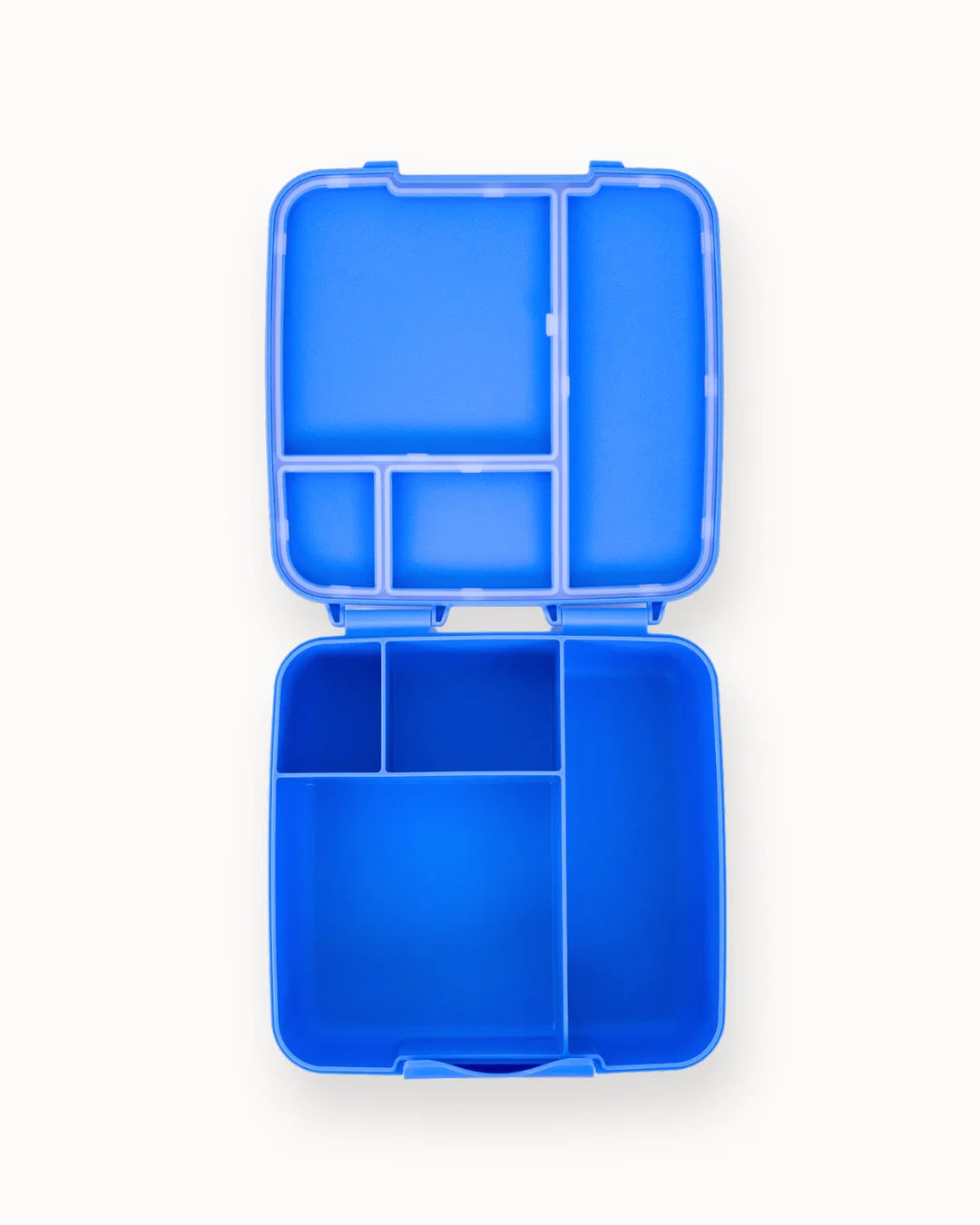 Montiico Feast Bento Lunch Box - Blueberry