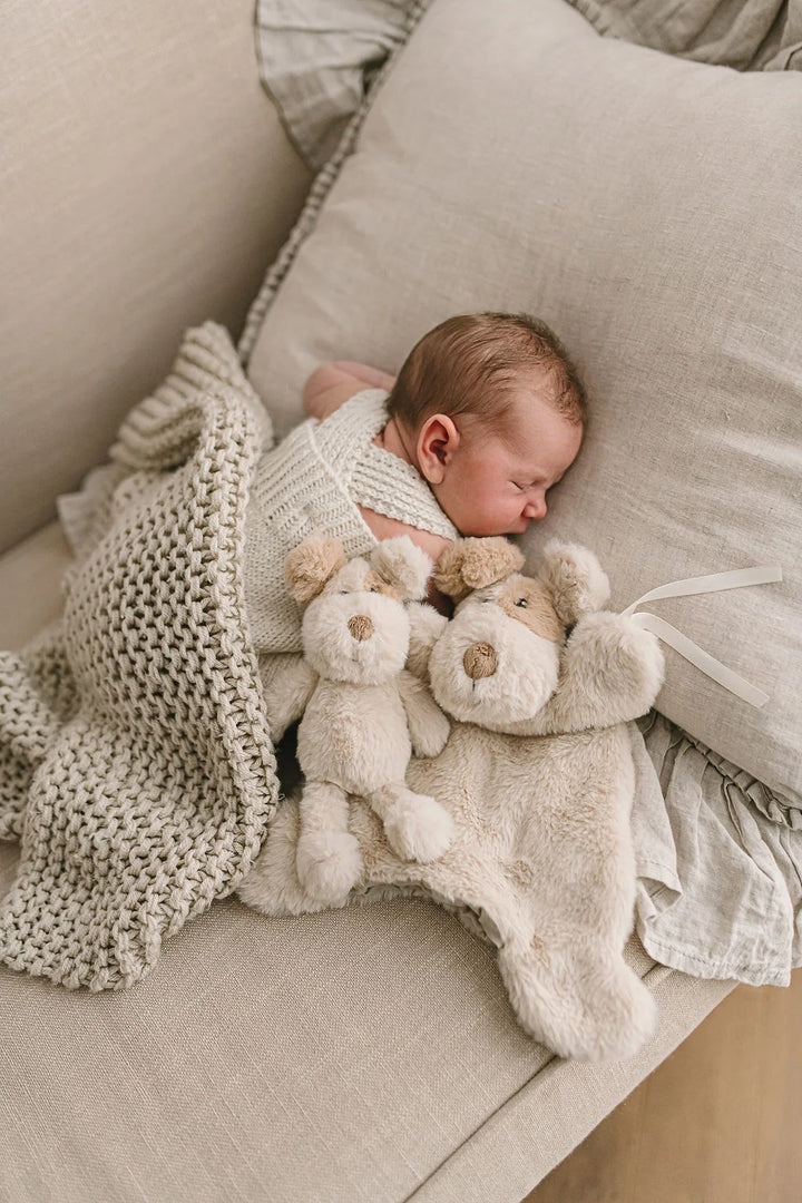 Nana Huchy Buddy the Dog Comforter & Rattle Bundle