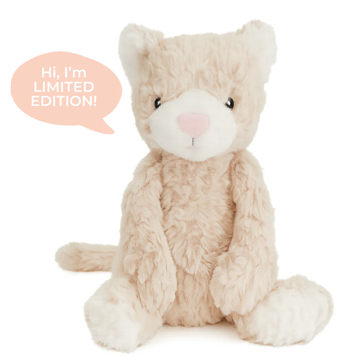 Pickles the Weighted Cat Sensory Plush Toy