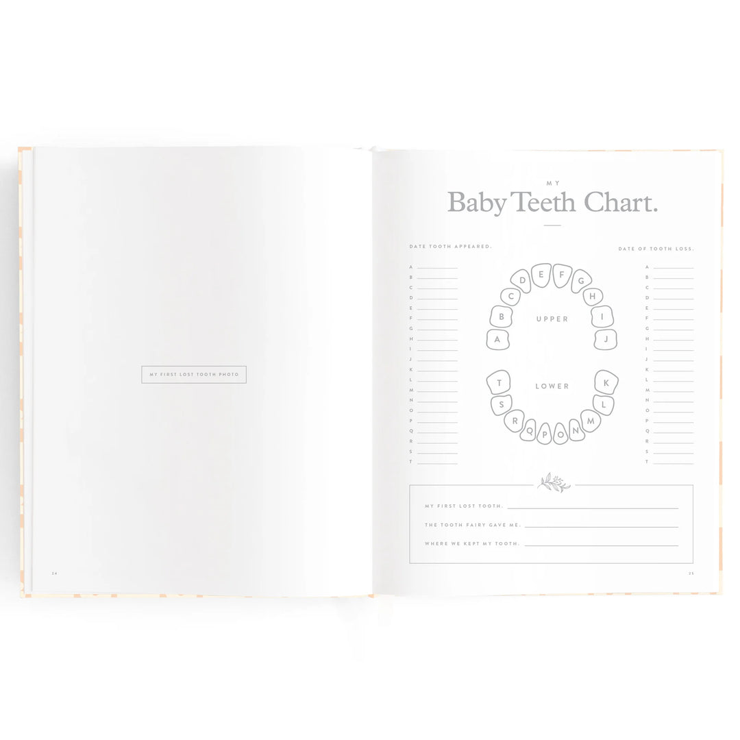 Fox & Fallow Baby Record Book - Pink Daisy Grid