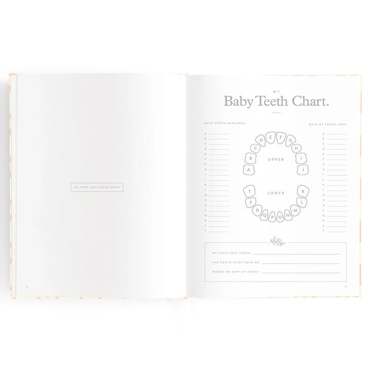 Fox & Fallow Baby Record Book - Pink Daisy Grid