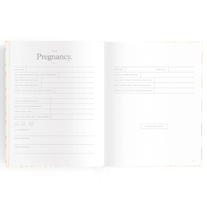Fox & Fallow Baby Record Book - Pink Daisy Grid