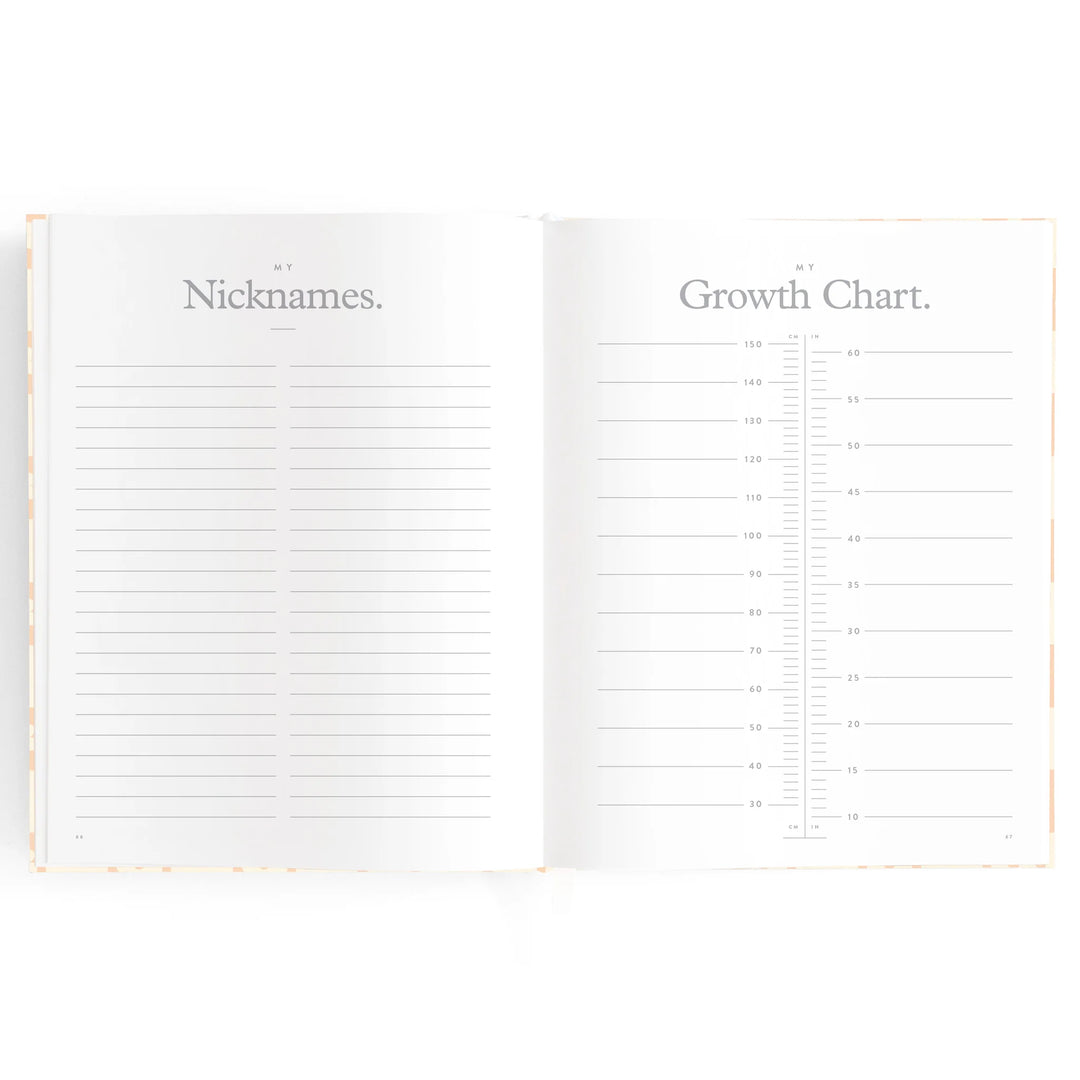 Fox & Fallow Baby Record Book - Pink Daisy Grid