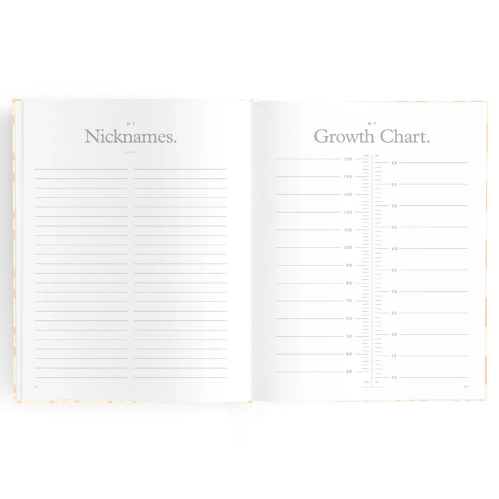 Fox & Fallow Baby Record Book - Pink Daisy Grid