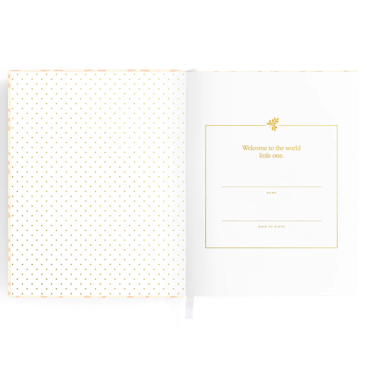 Fox & Fallow Baby Record Book - Pink Daisy Grid