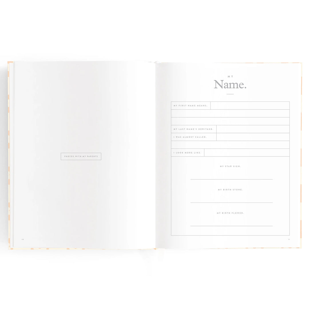 Fox & Fallow Baby Record Book - Pink Daisy Grid
