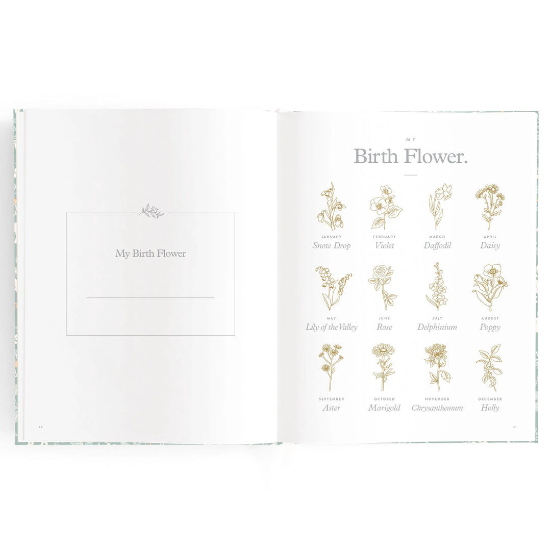 Fox & Fallow Baby Record Book - Forest Friends Sage