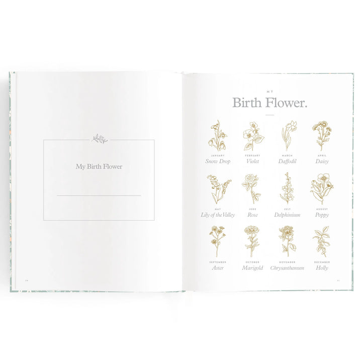 Fox & Fallow Baby Record Book - Forest Friends Sage