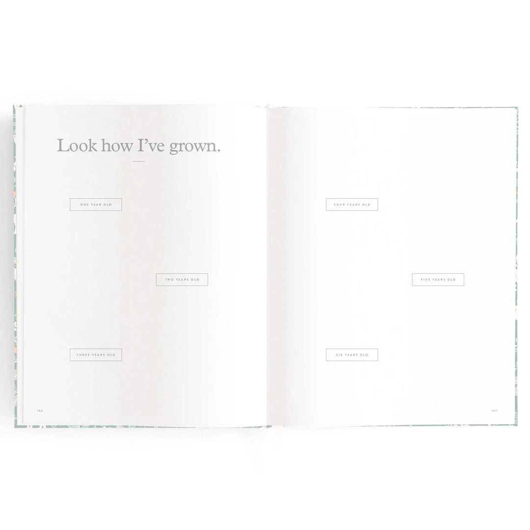Fox & Fallow Baby Record Book - Forest Friends Sage