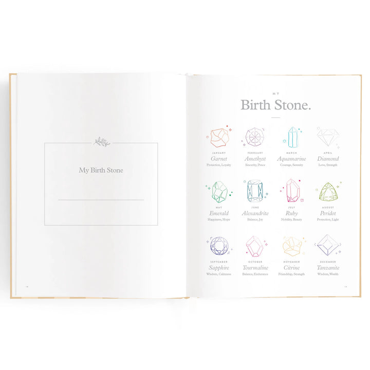 Fox & Fallow Baby Record Book - Coffee Stripe