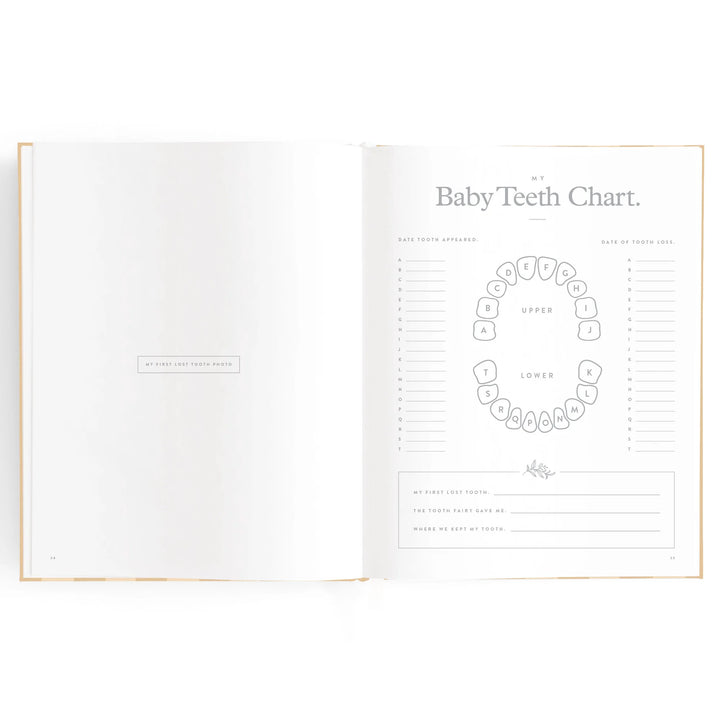 Fox & Fallow Baby Record Book - Coffee Stripe