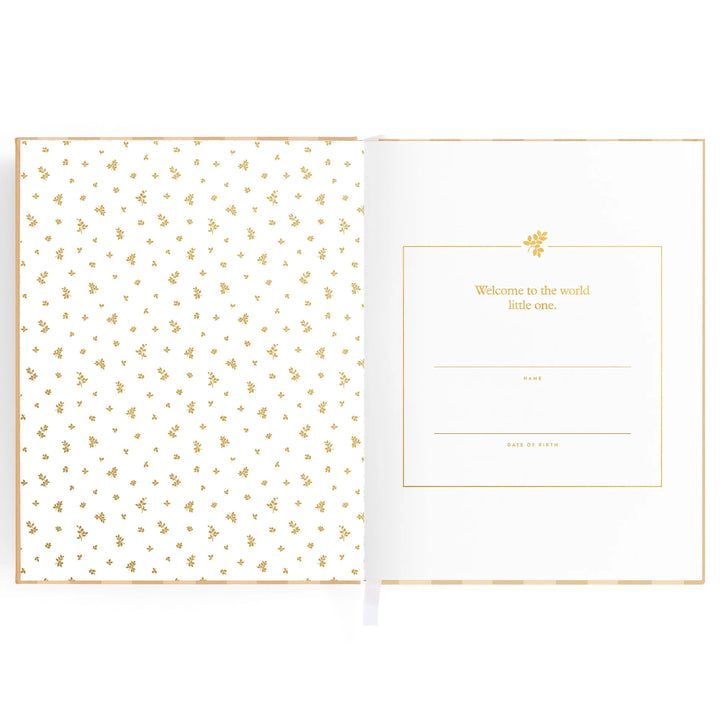 Fox & Fallow Baby Record Book - Coffee Stripe