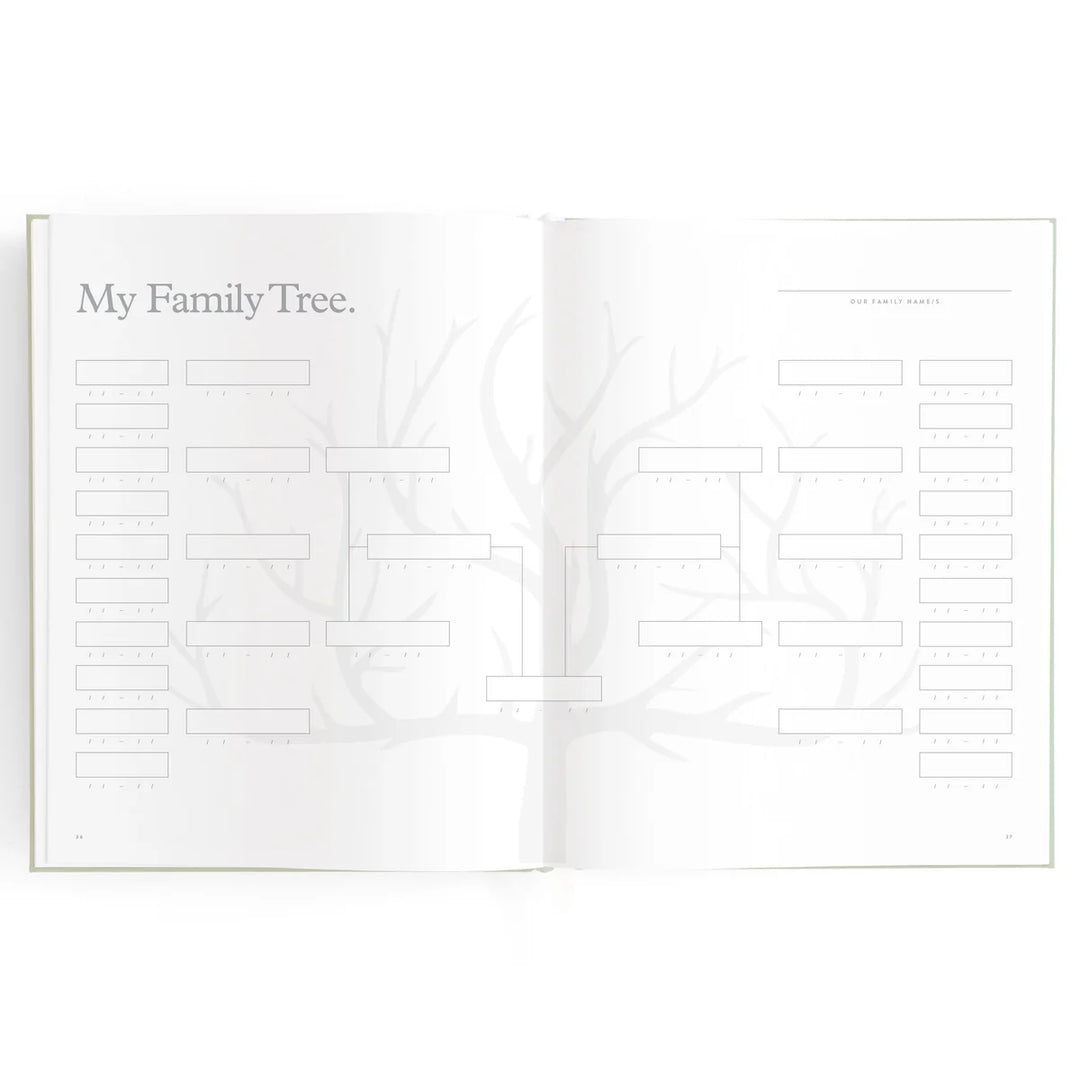 Fox & Fallow Baby Record Book - Blue Ducks