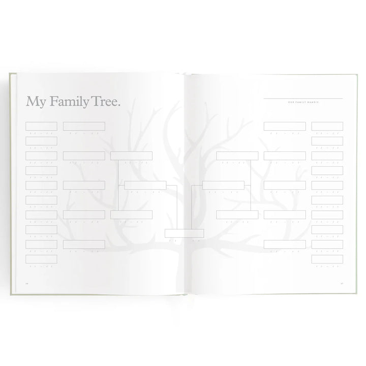 Fox & Fallow Baby Record Book - Blue Ducks