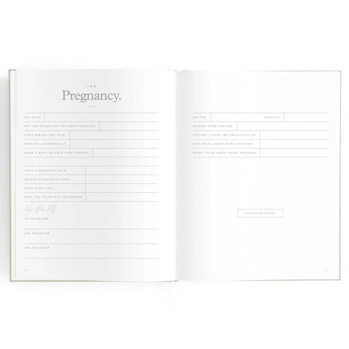 Fox & Fallow Baby Record Book - Blue Ducks