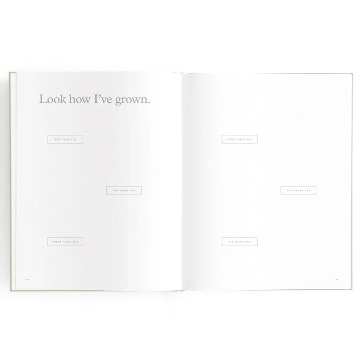 Fox & Fallow Baby Record Book - Blue Ducks