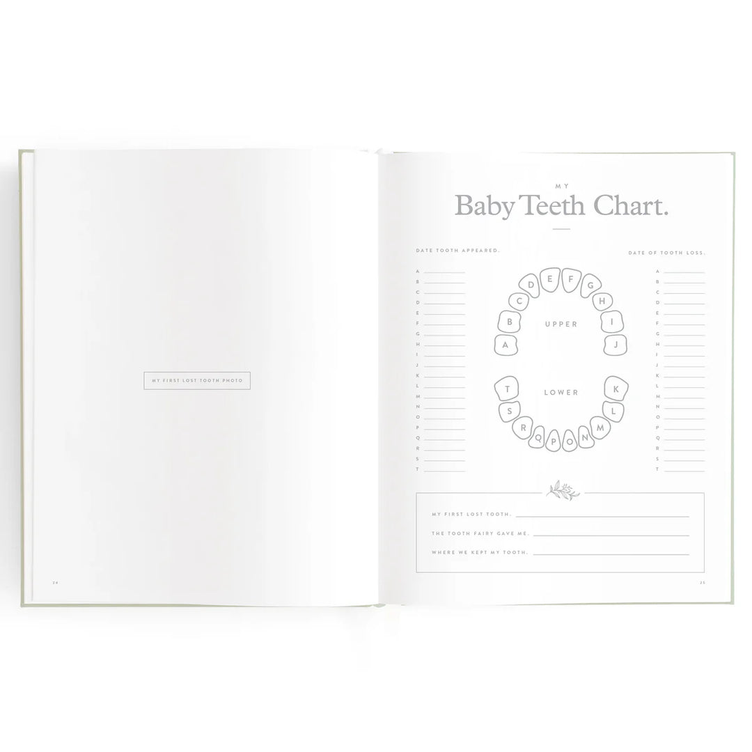 Fox & Fallow Baby Record Book - Blue Ducks