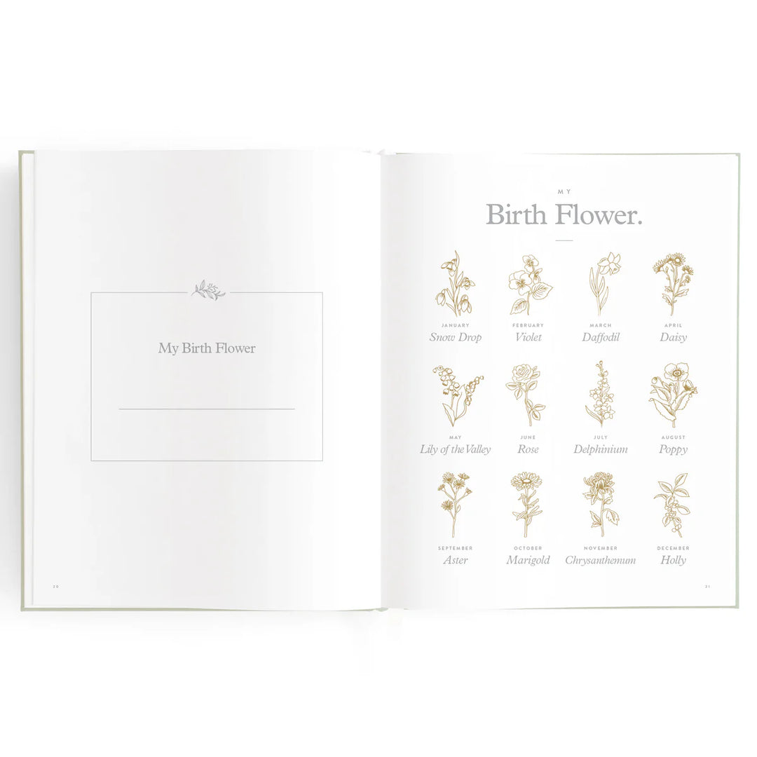 Fox & Fallow Baby Record Book - Blue Ducks