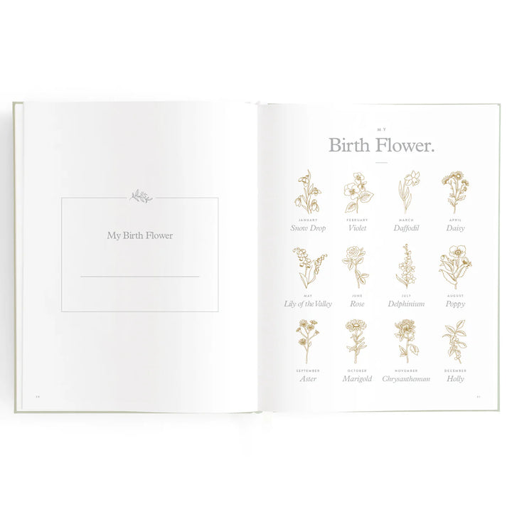 Fox & Fallow Baby Record Book - Blue Ducks