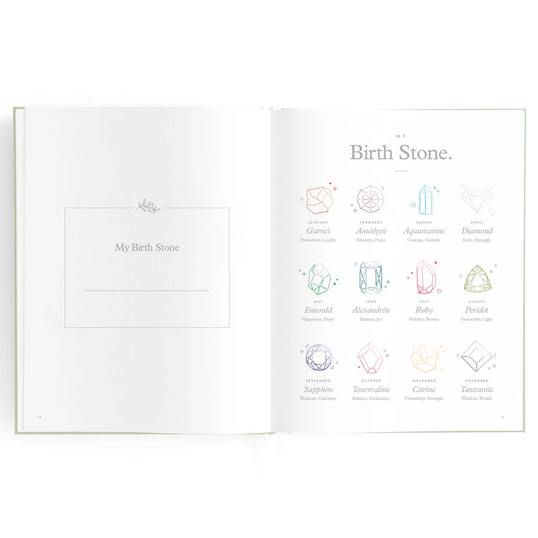 Fox & Fallow Baby Record Book - Blue Ducks