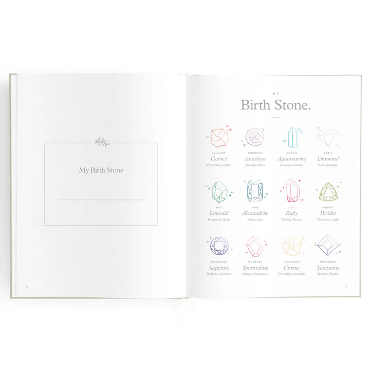 Fox & Fallow Baby Record Book - Blue Ducks