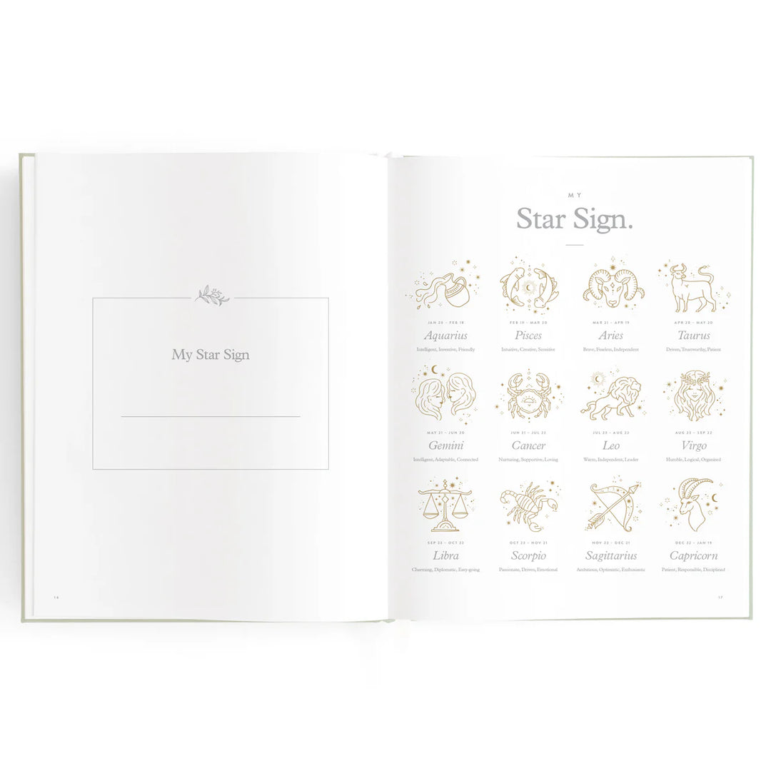 Fox & Fallow Baby Record Book - Blue Ducks
